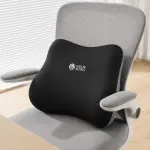 Magic Backsupport Pillow